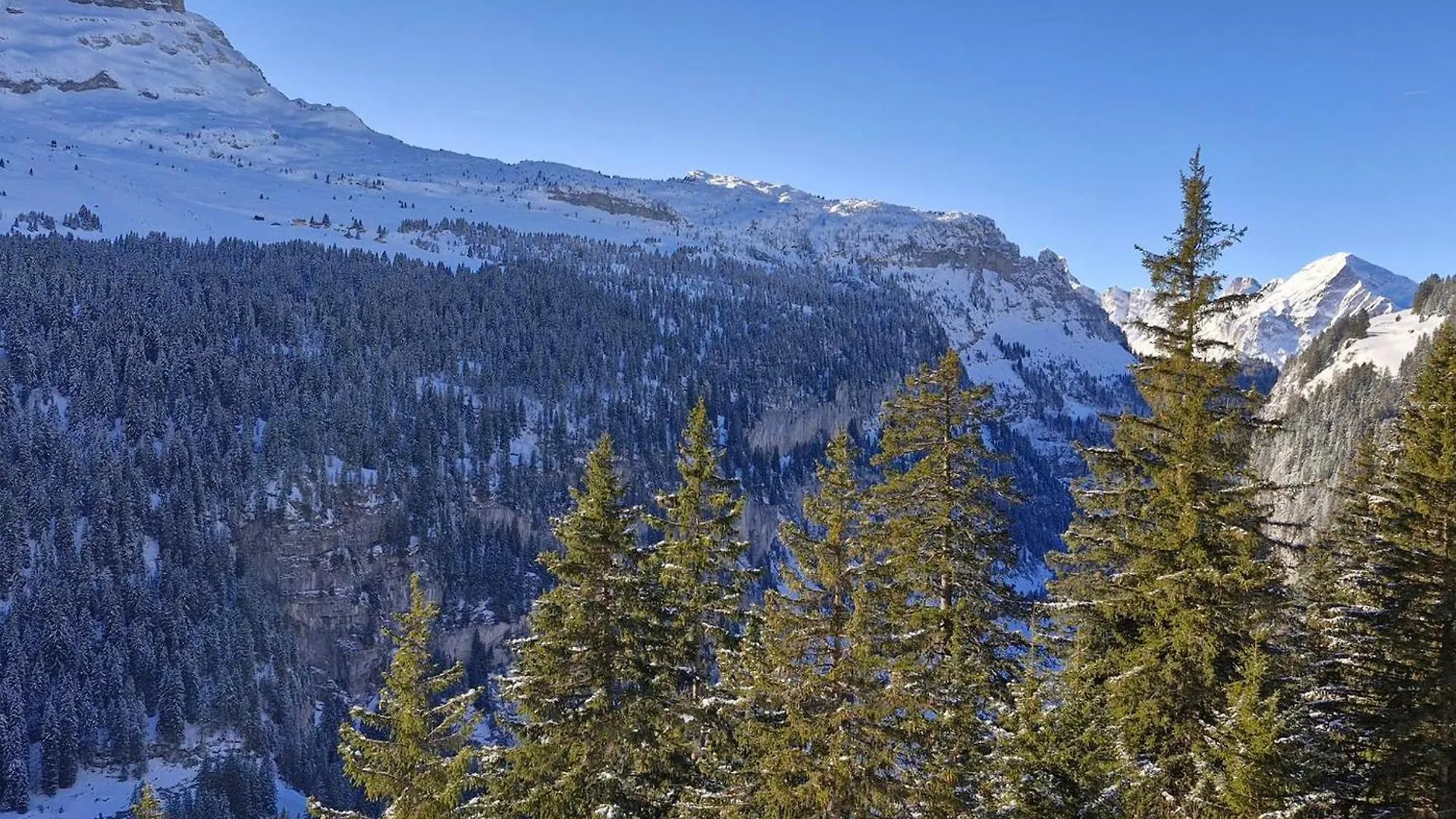 Appartement Renove 6 Pers, Balcon, Flaine Foret, 500M Des Pistes, Parking Couvert Disponible - Fr-1-425-155 Apartamento